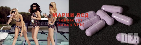 ГАЛЛЮЦИНОГЕННЫЕ ГРИБЫ Беломорск