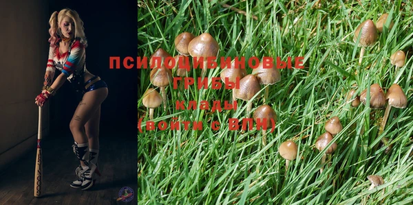 наркотики Белокуриха
